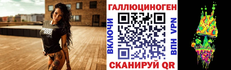 Галлюциногенные грибы Psilocybe  купить наркотики цена  Курск 