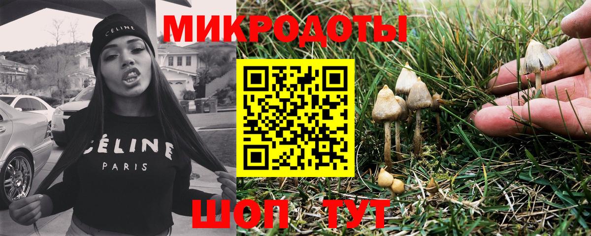 Галлюциногенные грибы Cubensis Курск